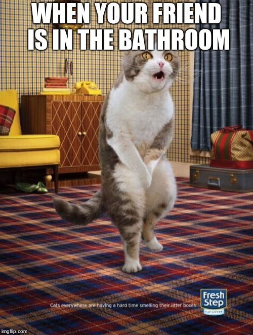Gotta Go Cat | WHEN YOUR FRIEND IS IN THE BATHROOM | image tagged in memes,gotta go cat | made w/ Imgflip meme maker