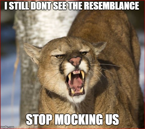 I STILL DONT SEE THE RESEMBLANCE STOP MOCKING US | made w/ Imgflip meme maker