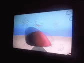 SpongeBob Spin the Bottle | image tagged in gifs,spongebob | made w/ Imgflip video-to-gif maker