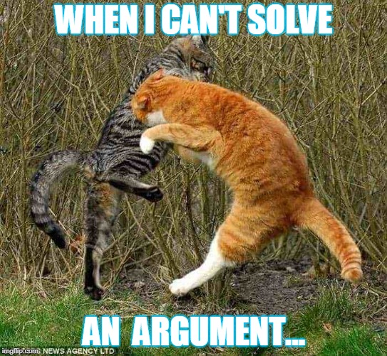 funny cat meme | WHEN I CAN'T SOLVE; AN  ARGUMENT... | image tagged in cats | made w/ Imgflip meme maker