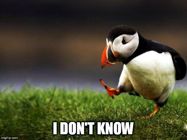 Unpopular Opinion Puffin Meme | I DON'T KNOW | image tagged in memes,unpopular opinion puffin | made w/ Imgflip meme maker