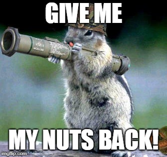 Bazooka Squirrel | GIVE ME; MY NUTS BACK! | image tagged in memes,bazooka squirrel | made w/ Imgflip meme maker