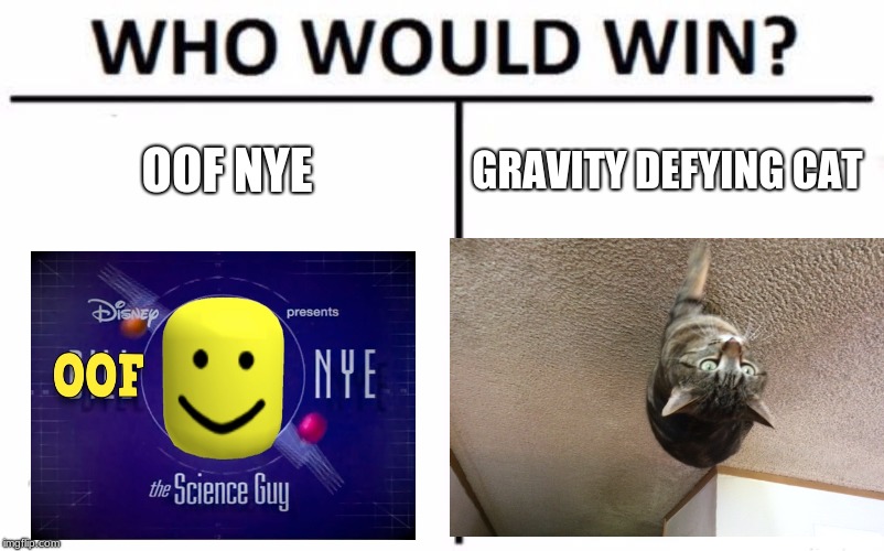 OOF NYE; GRAVITY DEFYING CAT | image tagged in memes,who would win | made w/ Imgflip meme maker