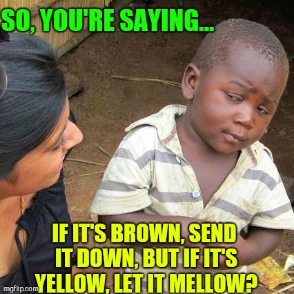 To Flush or Not to Flush | SO, YOU'RE SAYING... IF IT'S BROWN, SEND IT DOWN, BUT IF IT'S YELLOW, LET IT MELLOW? | image tagged in third world skeptical kid,vince vance,drought,advice about water usage,toilet humor | made w/ Imgflip meme maker