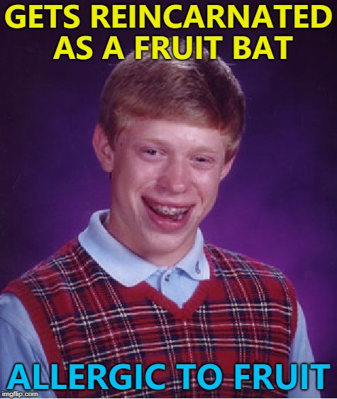 Maybe he was a fruit bat and got reincarnated as Brian... :) | GETS REINCARNATED AS A FRUIT BAT; ALLERGIC TO FRUIT | image tagged in memes,bad luck brian,reincarnation,fruit bat,animals | made w/ Imgflip meme maker