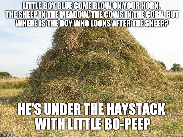 Little Boy Blue | LITTLE BOY BLUE COME BLOW ON YOUR HORN. THE SHEEP IN THE MEADOW, THE COWS IN THE CORN.
BUT WHERE IS THE BOY WHO LOOKS AFTER THE SHEEP? HE'S UNDER THE HAYSTACK WITH LITTLE BO-PEEP | image tagged in nursery rhymes | made w/ Imgflip meme maker