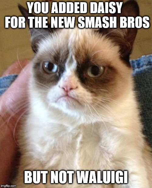 Grumpy Cat Meme | YOU ADDED DAISY  FOR THE NEW SMASH BROS; BUT NOT WALUIGI | image tagged in memes,grumpy cat | made w/ Imgflip meme maker