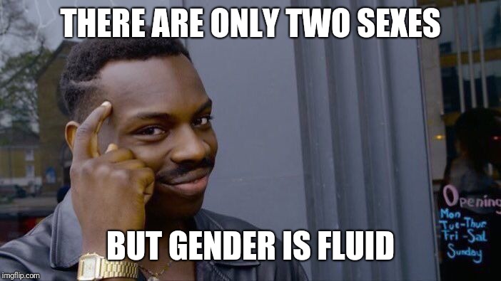 Roll Safe Think About It Meme | THERE ARE ONLY TWO SEXES BUT GENDER IS FLUID | image tagged in memes,roll safe think about it | made w/ Imgflip meme maker