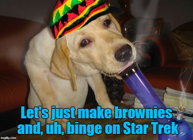 Let's just make brownies and, uh, binge on Star Trek | made w/ Imgflip meme maker