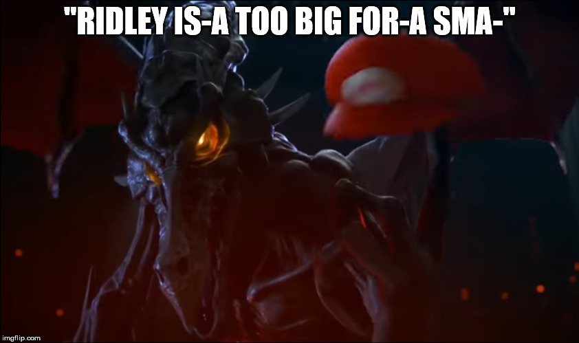 "RIDLEY IS-A TOO BIG FOR-A SMA-" | image tagged in super smash bros,metroid,samus,ridley,super smash brothers ultimate,deadmario | made w/ Imgflip meme maker