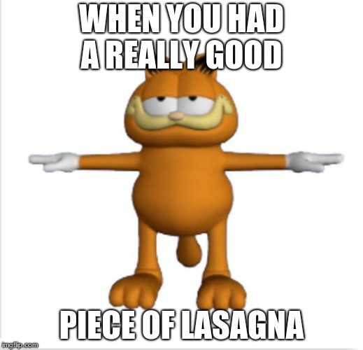 garfield t-pose | WHEN YOU HAD A REALLY GOOD; PIECE OF LASAGNA | image tagged in garfield t-pose | made w/ Imgflip meme maker