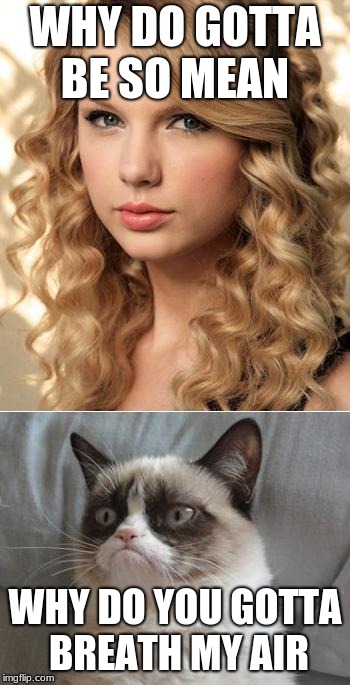 Grumpy Cat says "no" to Taylor Swift as NYC Global Welcome Ambas | WHY DO GOTTA BE SO MEAN; WHY DO YOU GOTTA BREATH MY AIR | image tagged in grumpy cat says no to taylor swift as nyc global welcome ambas | made w/ Imgflip meme maker