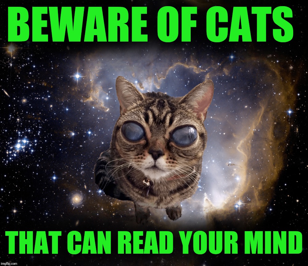 BEWARE OF CATS THAT CAN READ YOUR MIND | made w/ Imgflip meme maker