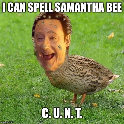 To win the 2018 Celebrities Names Spelling Bee...  | I CAN SPELL SAMANTHA BEE C. U. N. T. | image tagged in cool bullshit da data duckith,jankyness,star trek data duck,wars of the deep state hood ers for tge showcase,show me the memey | made w/ Imgflip meme maker