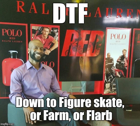 DTF; Down to Figure skate, or Farm, or Flarb | made w/ Imgflip meme maker