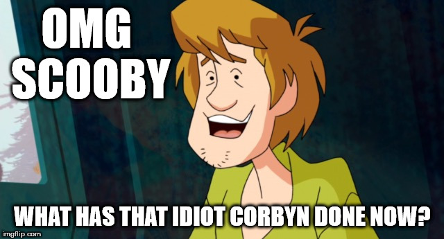 OMG - What has that idiot Corbyn done now? | OMG SCOOBY; WHAT HAS THAT IDIOT CORBYN DONE NOW? | image tagged in cartoon shaggy 1,corbyn eww,funny,party of hate,momentum,communist socialist | made w/ Imgflip meme maker
