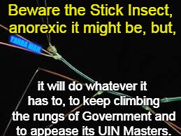 Julie Bishop Stick Insect | Beware the Stick Insect, anorexic it might be, but, YARRA MAN. it will do whatever it has to, to keep climbing the rungs of Government and to appease its UIN Masters. | image tagged in julie bishop stick insect | made w/ Imgflip meme maker