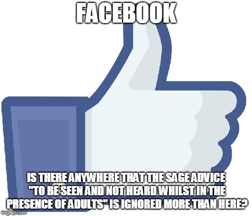 Facebook Like Button | FACEBOOK; IS THERE ANYWHERE THAT THE SAGE ADVICE "TO BE SEEN AND NOT HEARD WHILST IN THE PRESENCE OF ADULTS" IS IGNORED MORE THAN HERE? | image tagged in facebook like button | made w/ Imgflip meme maker
