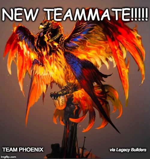 Team Phoenix | image tagged in legacy,legacybuilders,phoenix | made w/ Imgflip meme maker