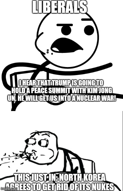 Told ya so, libs! | LIBERALS; I HEAR THAT TRUMP IS GOING TO HOLD A PEACE SUMMIT WITH KIM JONG UN. HE WILL GET US INTO A NUCLEAR WAR! THIS JUST IN: NORTH KOREA AGREES TO GET RID OF ITS NUKES | image tagged in liberals,peace summit | made w/ Imgflip meme maker