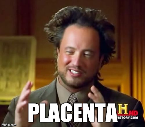 Ancient Aliens Meme | PLACENTA | image tagged in memes,ancient aliens | made w/ Imgflip meme maker