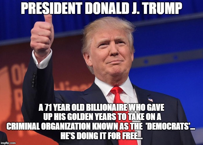 donald trump | PRESIDENT DONALD J. TRUMP; A 71 YEAR OLD BILLIONAIRE WHO GAVE UP HIS GOLDEN YEARS TO TAKE ON A CRIMINAL ORGANIZATION KNOWN AS THE 
'DEMOCRATS'...

 HE'S DOING IT FOR FREE... | image tagged in donald trump | made w/ Imgflip meme maker