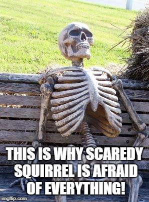 Waiting Skeleton Meme | THIS IS WHY SCAREDY SQUIRREL IS AFRAID OF EVERYTHING! | image tagged in memes,waiting skeleton | made w/ Imgflip meme maker