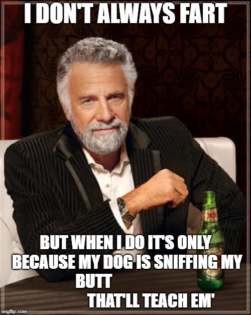 The Most Interesting Man In The World | I DON'T ALWAYS FART; BUT WHEN I DO IT'S ONLY BECAUSE MY DOG IS SNIFFING MY BUTT                                     THAT'LL TEACH EM' | image tagged in memes,the most interesting man in the world | made w/ Imgflip meme maker