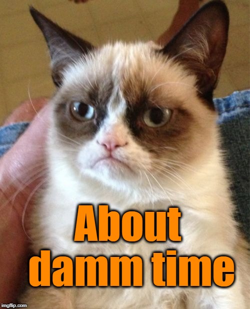 Grumpy Cat Meme | About damm time | image tagged in memes,grumpy cat | made w/ Imgflip meme maker