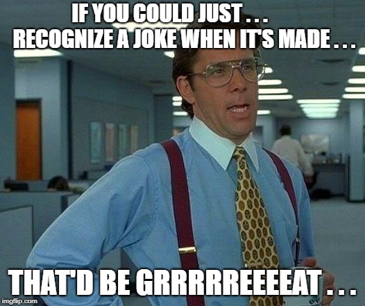 That Would Be Great | IF YOU COULD JUST . . .       RECOGNIZE A JOKE WHEN IT'S MADE . . . THAT'D BE GRRRRREEEEAT . . . | image tagged in memes,that would be great | made w/ Imgflip meme maker