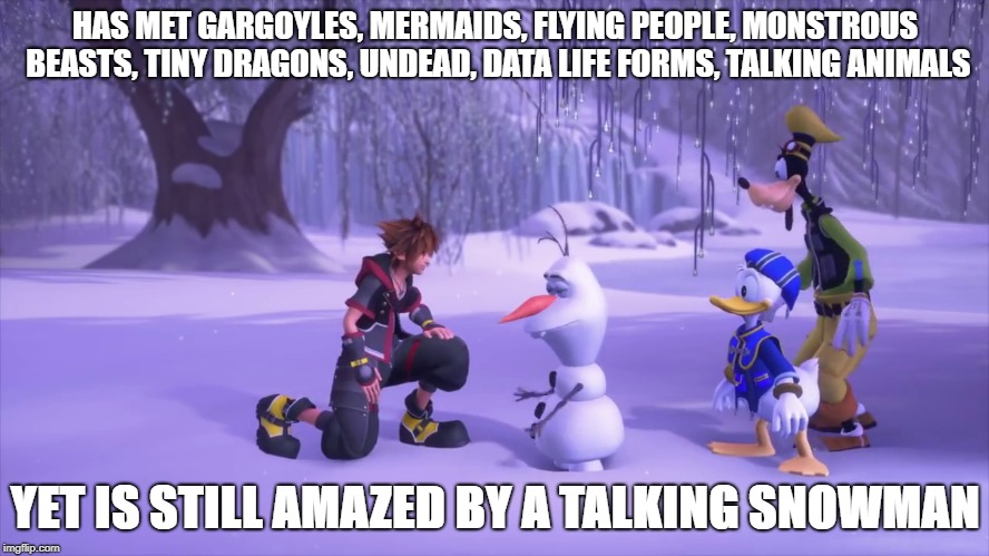 HAS MET GARGOYLES, MERMAIDS, FLYING PEOPLE, MONSTROUS BEASTS, TINY DRAGONS, UNDEAD, DATA LIFE FORMS, TALKING ANIMALS; YET IS STILL AMAZED BY A TALKING SNOWMAN | image tagged in kingdom hearts | made w/ Imgflip meme maker