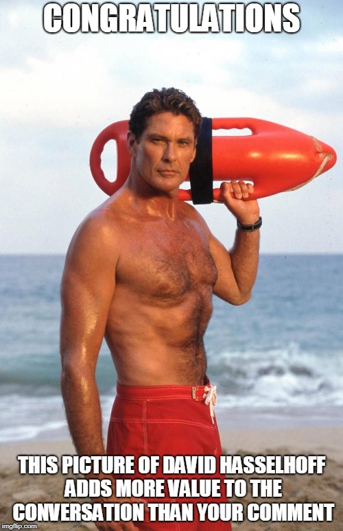 David Hasselhoff | CONGRATULATIONS; THIS PICTURE OF DAVID HASSELHOFF ADDS MORE VALUE TO THE CONVERSATION THAN YOUR COMMENT | image tagged in david hasselhoff | made w/ Imgflip meme maker