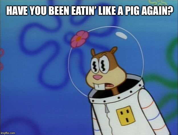 Have you been eatin’ like a pig again? | HAVE YOU BEEN EATIN’ LIKE A PIG AGAIN? | image tagged in sandy cheeks peeved,memes,spongebob squarepants,sandy cheeks,funny | made w/ Imgflip meme maker