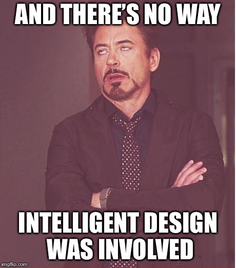 Face You Make Robert Downey Jr Meme | AND THERE’S NO WAY INTELLIGENT DESIGN WAS INVOLVED | image tagged in memes,face you make robert downey jr | made w/ Imgflip meme maker