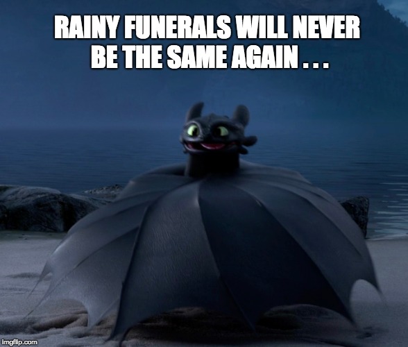 RAINY FUNERALS WILL NEVER BE THE SAME AGAIN . . . | image tagged in toothless,how to train your dragon | made w/ Imgflip meme maker