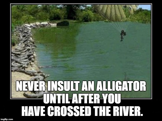 Alligator Farm Paratrooper | NEVER INSULT AN ALLIGATOR UNTIL AFTER YOU HAVE CROSSED THE RIVER. | image tagged in alligator farm paratrooper | made w/ Imgflip meme maker