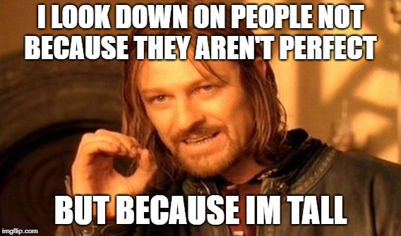 One Does Not Simply | I LOOK DOWN ON PEOPLE NOT BECAUSE THEY AREN'T PERFECT; BUT BECAUSE IM TALL | image tagged in memes,one does not simply | made w/ Imgflip meme maker