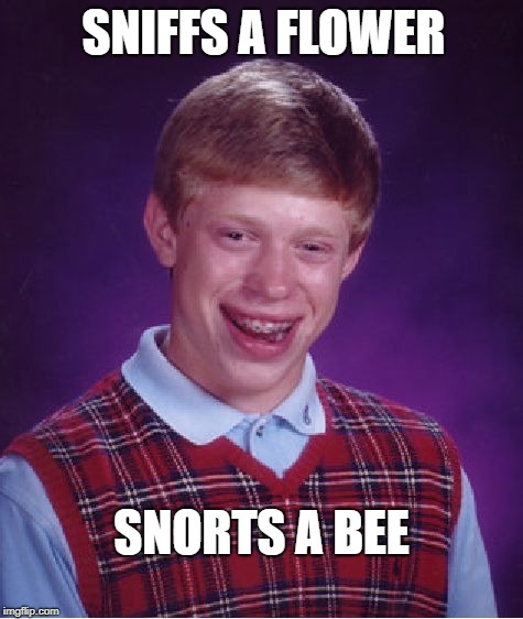 Bad Luck Brian Meme | SNIFFS A FLOWER; SNORTS A BEE | image tagged in memes,bad luck brian | made w/ Imgflip meme maker
