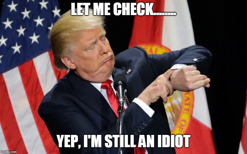 Let me check  | LET ME CHECK........ YEP, I'M STILL AN IDIOT | image tagged in idiot,trump,stupid,check time | made w/ Imgflip meme maker