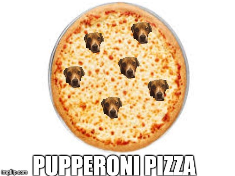 Pupperoni pizza  | PUPPERONI PIZZA | image tagged in dog,pupper,pizza,funny,cute | made w/ Imgflip meme maker