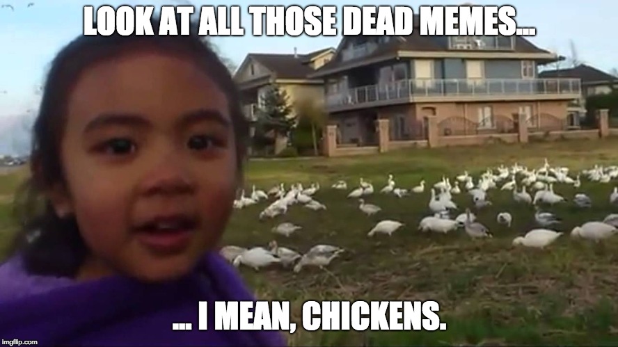 Look at All Those Chickens | LOOK AT ALL THOSE DEAD MEMES... ... I MEAN, CHICKENS. | image tagged in look at all those chickens | made w/ Imgflip meme maker