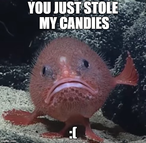 You just stole my candies | YOU JUST STOLE MY CANDIES; :( | image tagged in memes,fish,sad | made w/ Imgflip meme maker