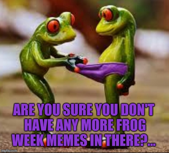 ARE YOU SURE YOU DON'T HAVE ANY MORE FROG WEEK MEMES IN THERE?... | made w/ Imgflip meme maker