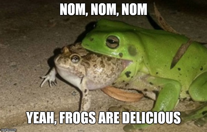 NOM, NOM, NOM YEAH, FROGS ARE DELICIOUS | made w/ Imgflip meme maker