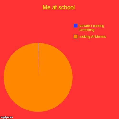 Me at school | Looking At Memes, Actually Learning Something | image tagged in funny,pie charts | made w/ Imgflip chart maker