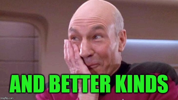 picard grin | AND BETTER KINDS | image tagged in picard grin | made w/ Imgflip meme maker