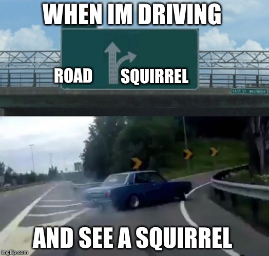 Left Exit 12 Off Ramp Meme | WHEN IM DRIVING AND SEE A SQUIRREL ROAD SQUIRREL | image tagged in memes,left exit 12 off ramp | made w/ Imgflip meme maker