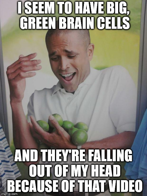 Why Can't I Hold All These Limes Meme | I SEEM TO HAVE BIG, GREEN BRAIN CELLS; AND THEY'RE FALLING OUT OF MY HEAD BECAUSE OF THAT VIDEO | image tagged in memes,why can't i hold all these limes | made w/ Imgflip meme maker