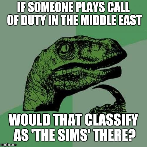 Mind Blown | IF SOMEONE PLAYS CALL OF DUTY IN THE MIDDLE EAST; WOULD THAT CLASSIFY AS 'THE SIMS' THERE? | image tagged in memes,philosoraptor,games,sims,funny,imgflip | made w/ Imgflip meme maker