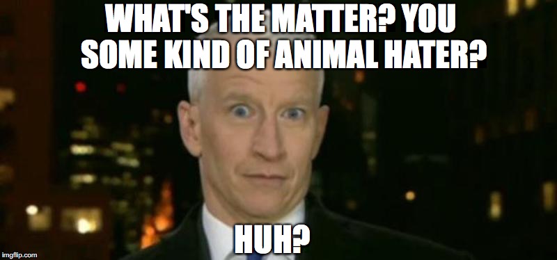 WHAT'S THE MATTER? YOU SOME KIND OF ANIMAL HATER? HUH? | made w/ Imgflip meme maker